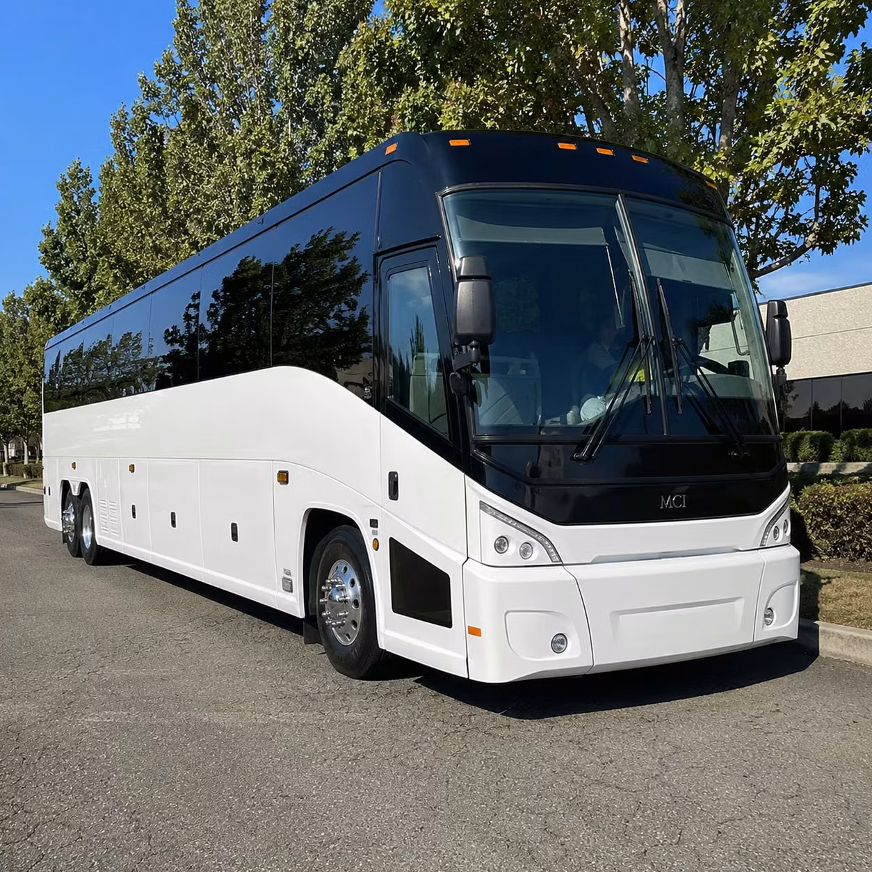 56 passenger charter bus
